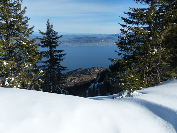 Lac Léman vu du de la crête des Mémises - boucle de ski de fond / ski nordique de Thollon Les Mémises