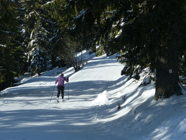 Point 2 : fourche départ / retour  - boucle de ski de fond / ski nordique de Thollon Les Mémises