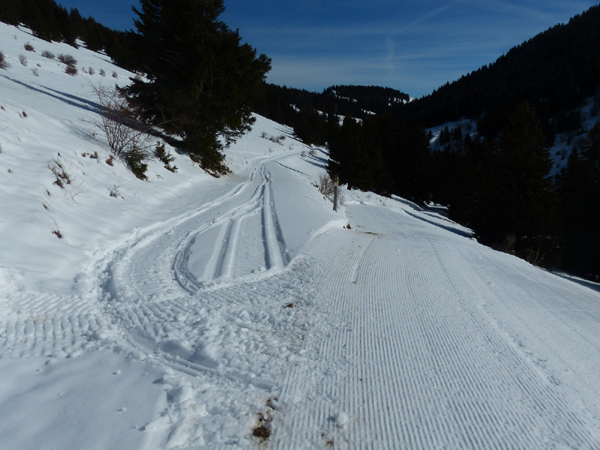 Point n°4  - boucle de ski de fond / ski nordique de Thollon Les Mémises