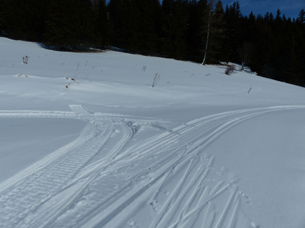 Point n°5 - boucle de ski de fond / ski nordique de Thollon Les Mémises