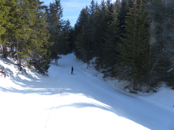 Point n°6 - boucle de ski de fond / ski nordique de Thollon Les Mémises