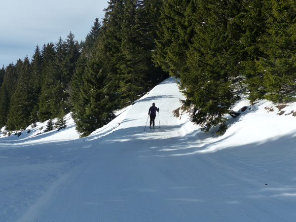 Point n°7 - boucle de ski de fond / ski nordique de Thollon Les Mémises