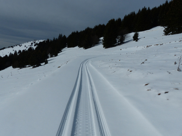 Point n°5 - boucle de ski de fond / ski nordique de Thollon Les Mémises