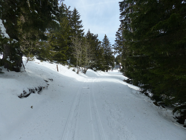 Retour vers point n°2 - boucle de ski de fond / ski nordique de Thollon Les Mémises
